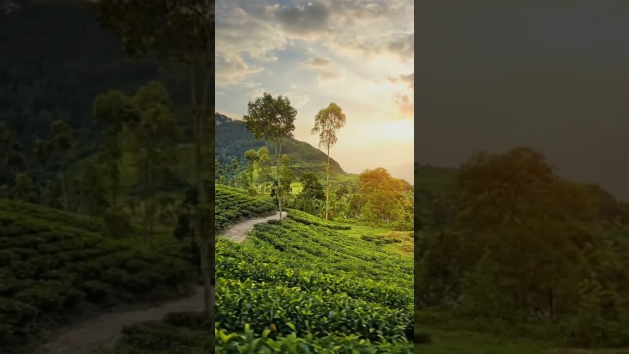 village tour beautiful place #