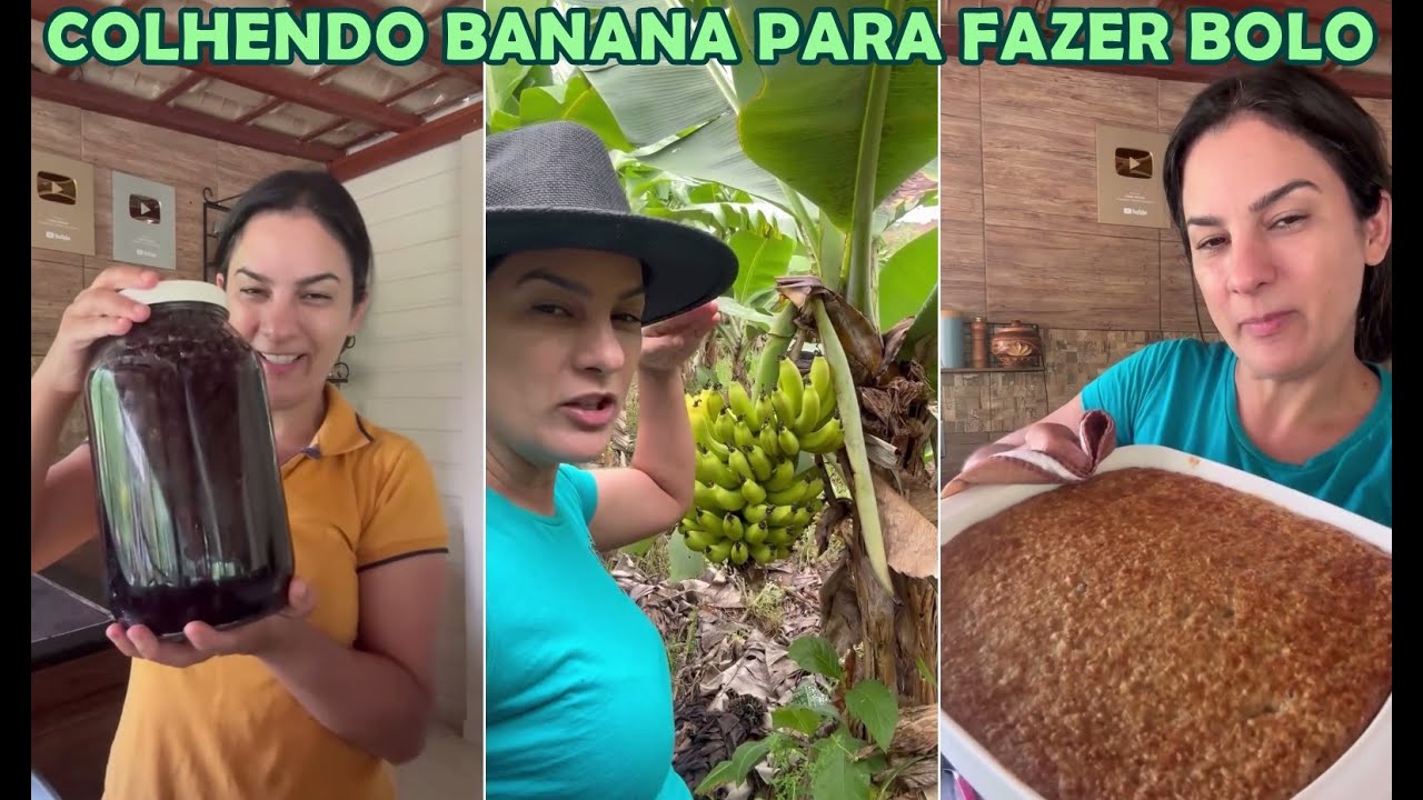 Cleide Lifestyle colheu muitas frutas + Experimentando o licor de jabuticaba + Bolo de Banana