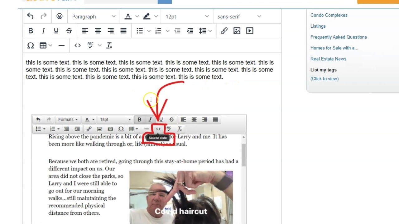 ActiveRain Tips for Blog Post Editor