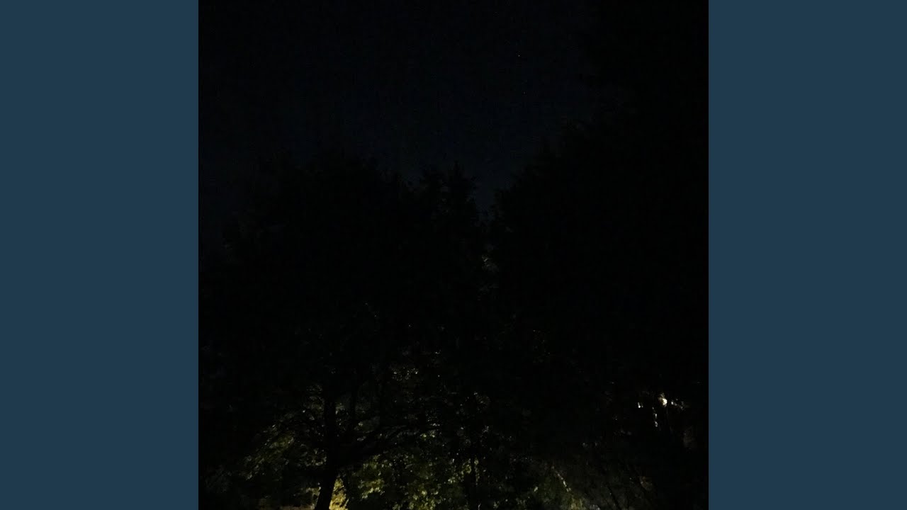 Shelter
