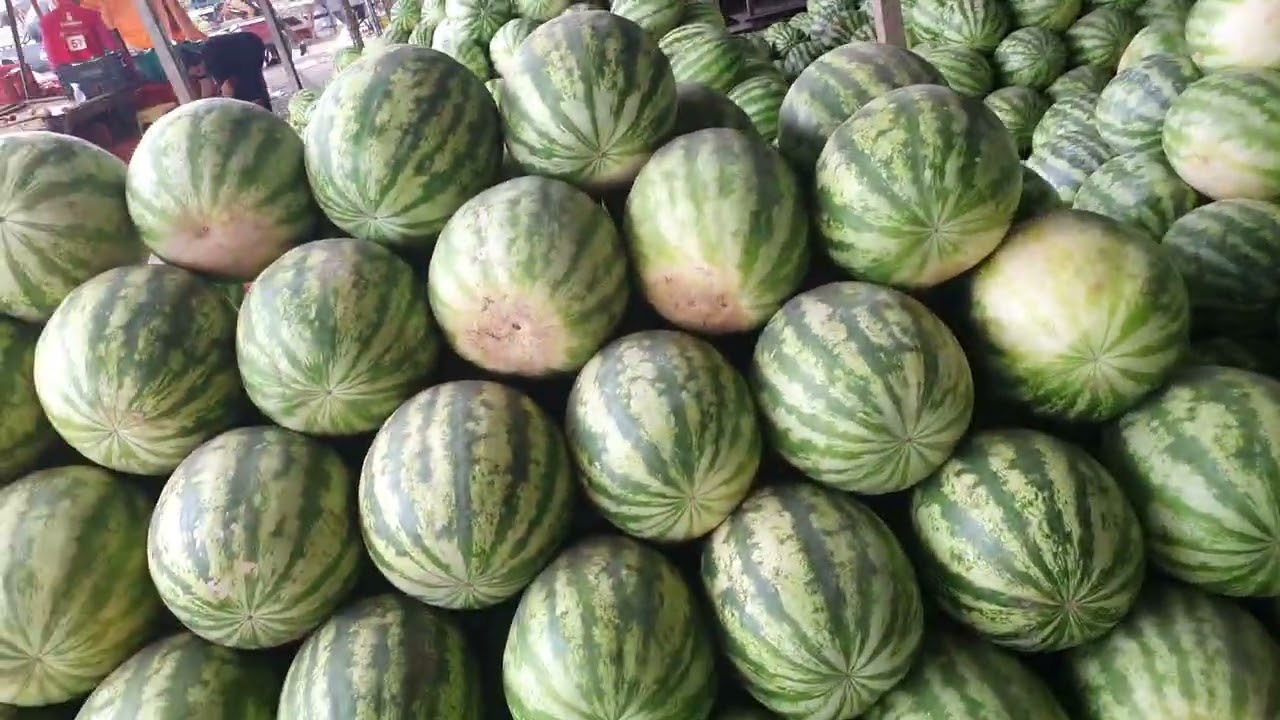 Desperdício de alimentos na  CEAGA GARANHUNS-PE.