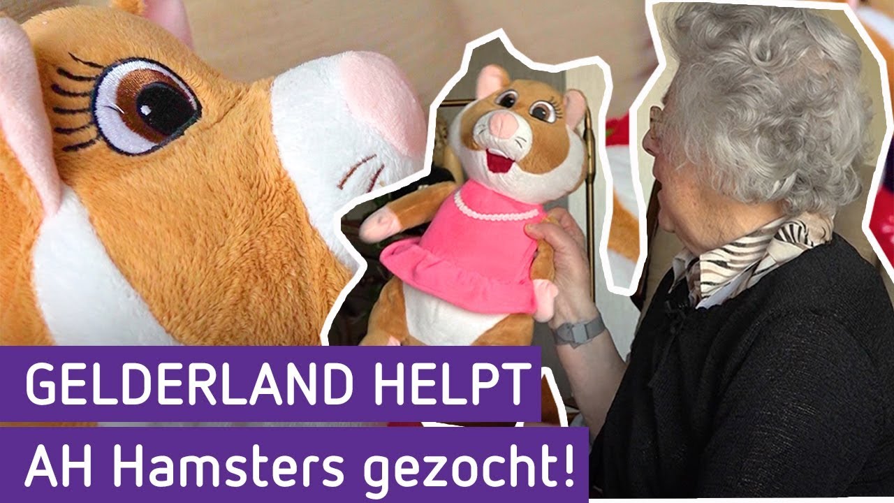 AH Hamsters gezocht! | Gelderland helpt