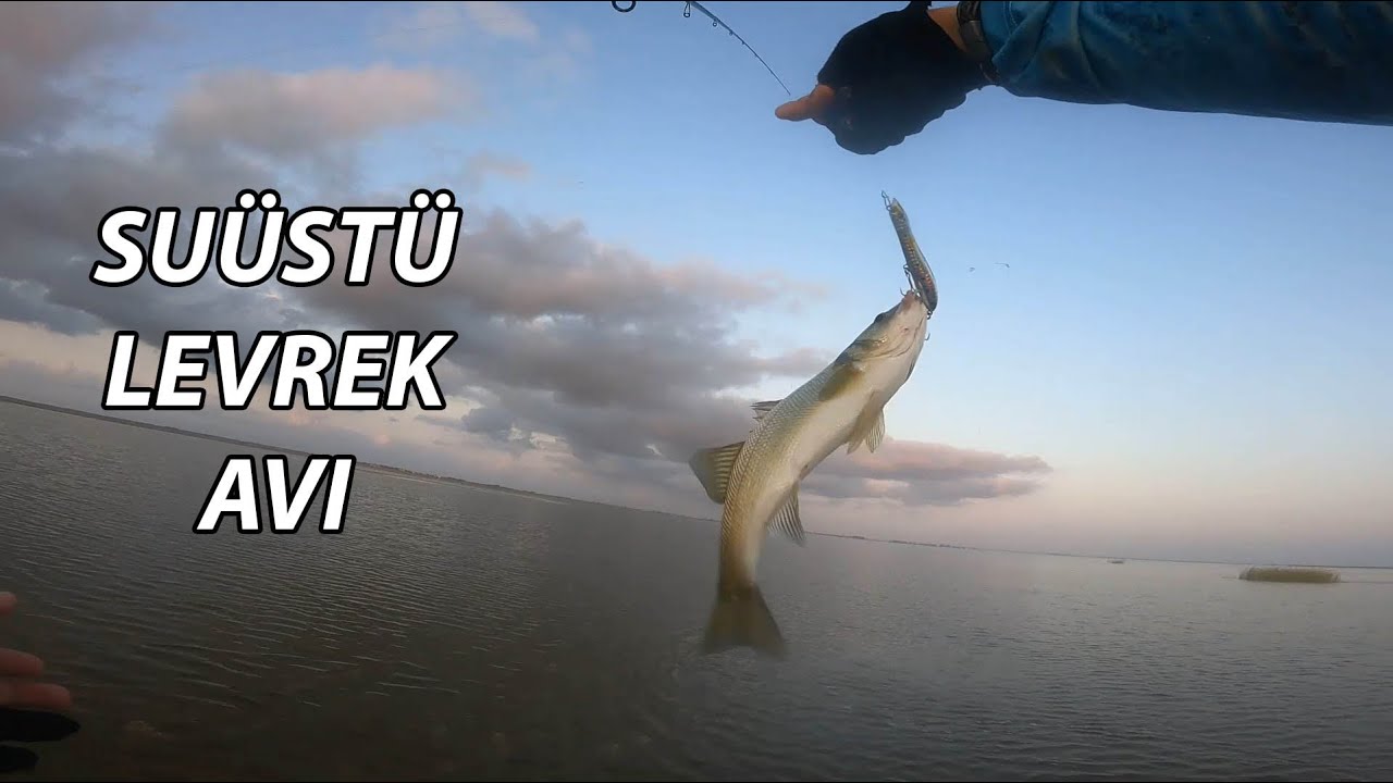 SUÜSTÜ LEVREK AVI... YARALI BALIK TAKLİDİ YAPIYOR, BALIĞA BEN BURADAYIM DİYOR