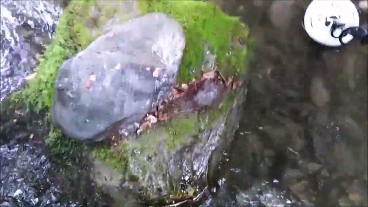 Garrett 24k working in a difficult creek for detectors to ground balance
