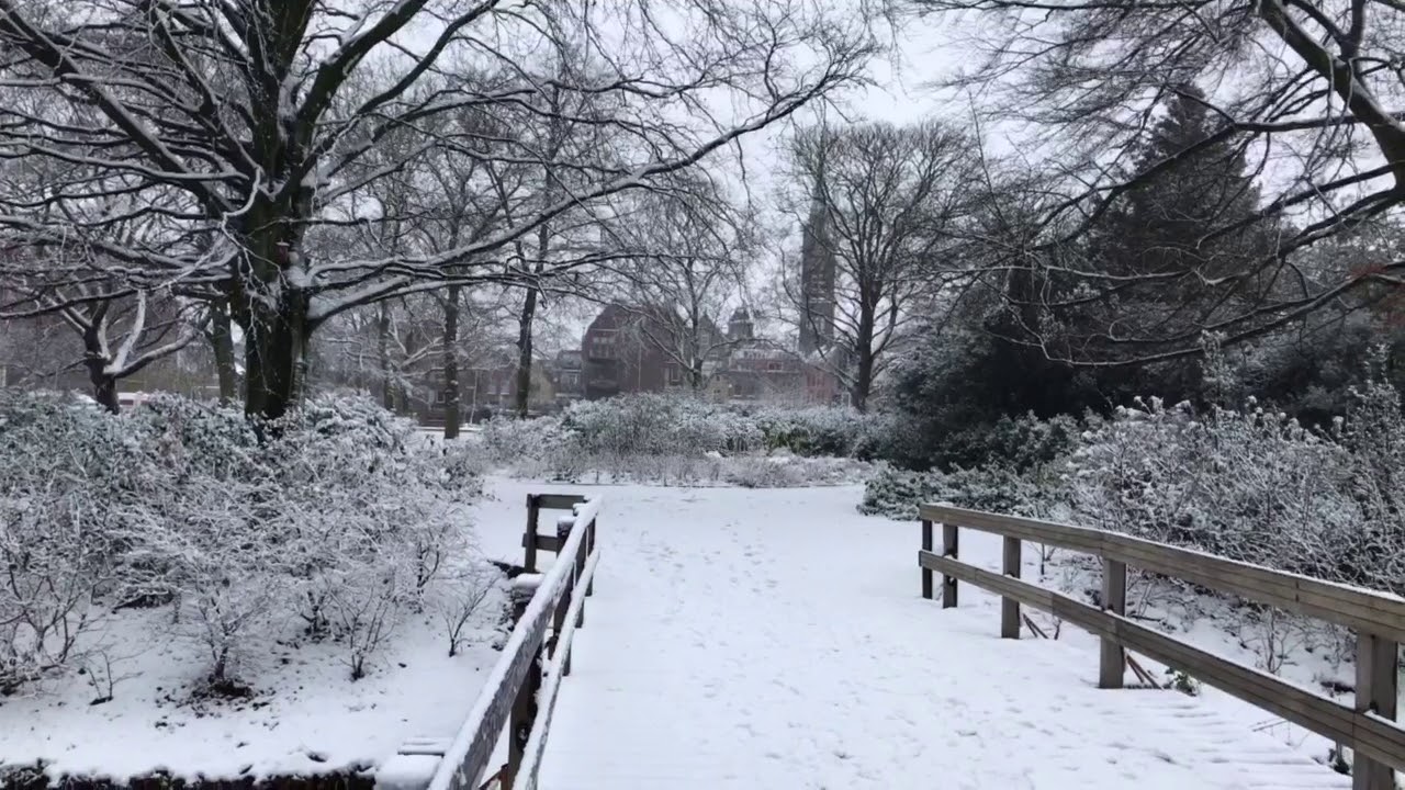 Holland - Vlaardingen - Winter