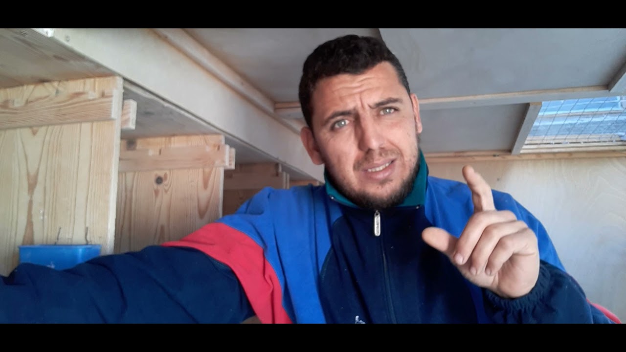 كيفية إنتاج سلالة قوية في السباقات و كيفية تطويرها والمحافظة عليها