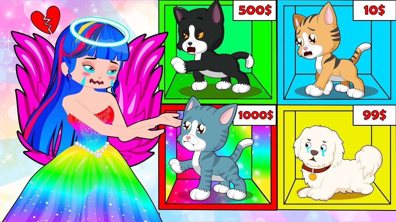 Poor Princess vs Faithful Cat | Funny Things Pets Do by SM