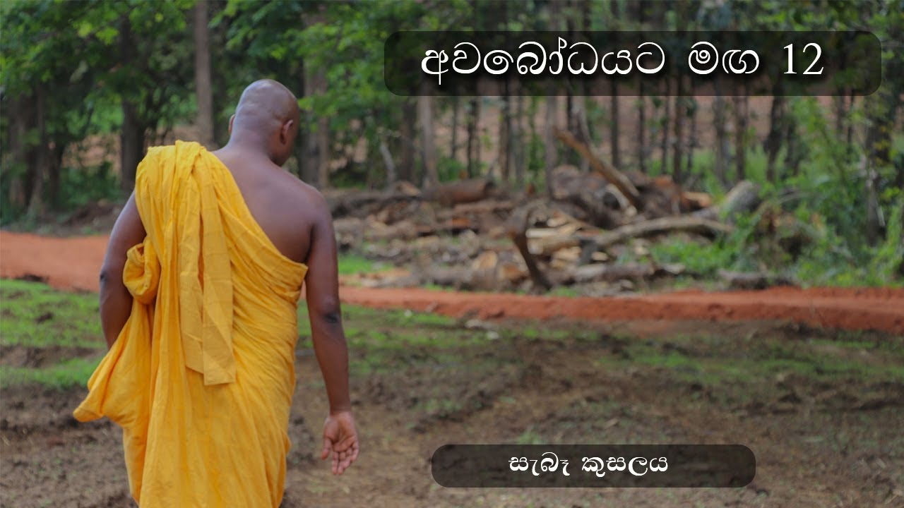 අවබෝධයට මඟ 12 - සැබෑ කුසලය