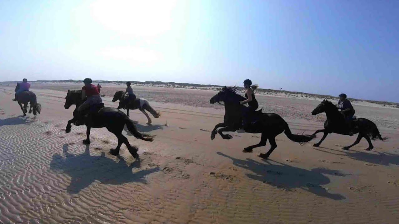 Strandrit op Terschelling 2 - Rijpaarden Verhuur Lok