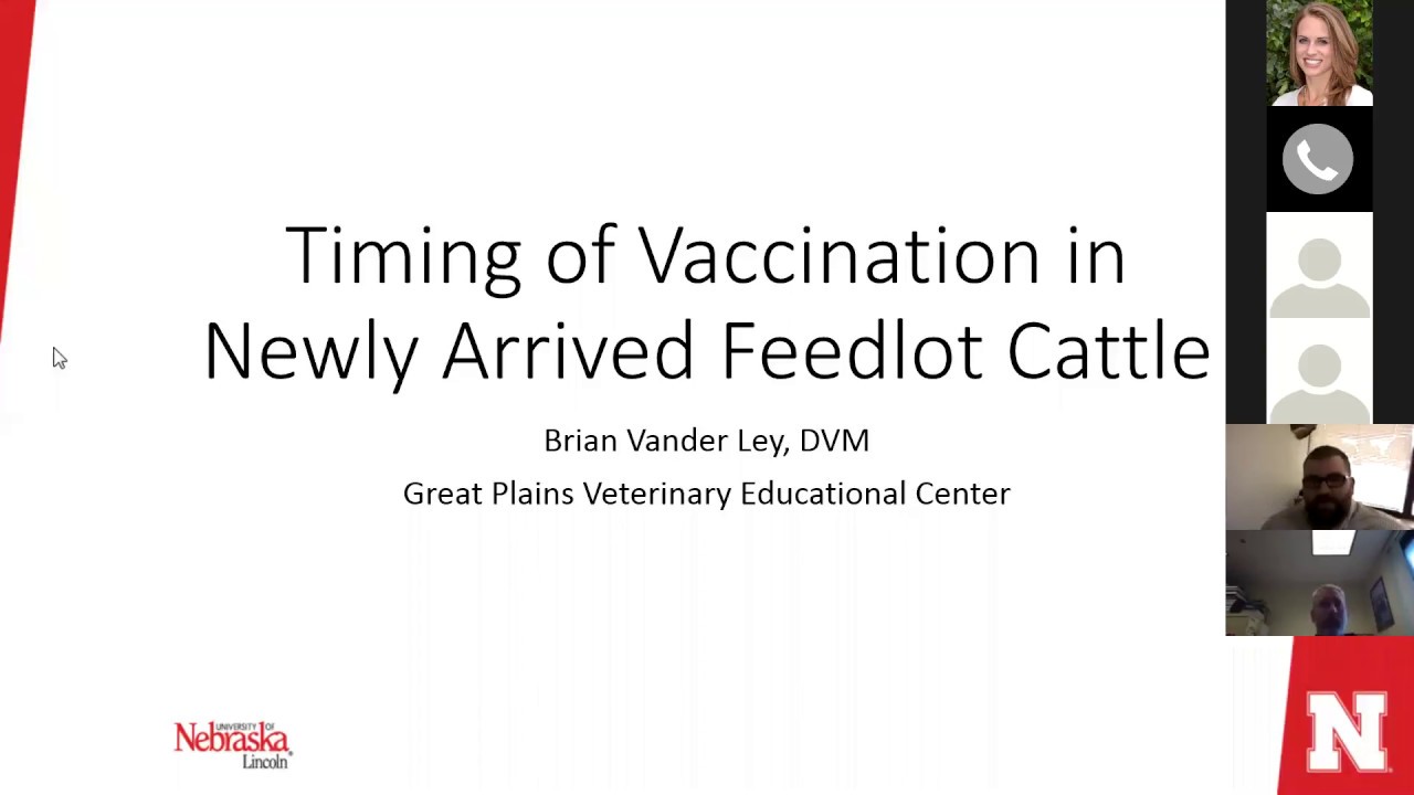 Timing of Vaccination in Newly Arrived Feedlot Cattle - Brian Vander Ley DVM