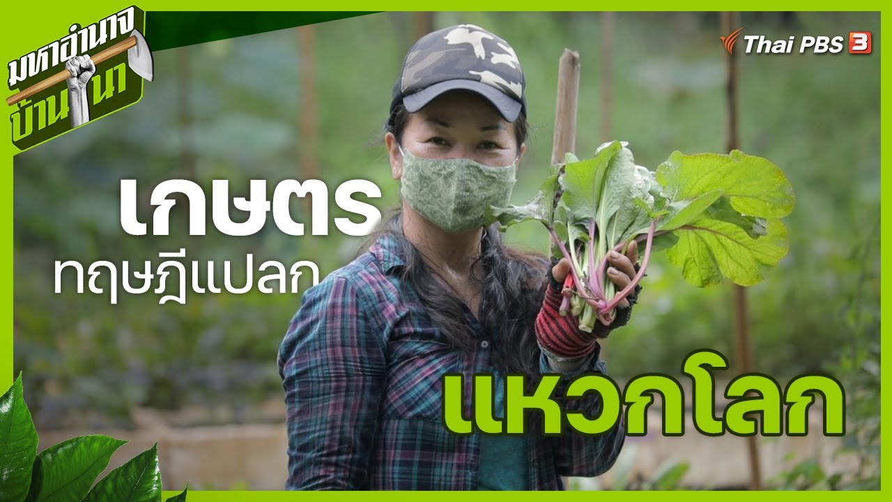 เรียม เกษตรทฤษฎีแปลกแหวกโลก : มหาอำนาจบ้านนา