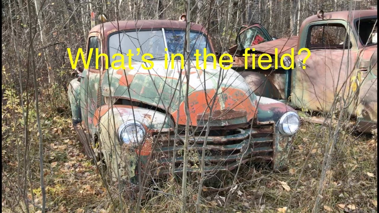 Fall Harvest! Farm Field Junkyard Tour, classic cars and trucks.