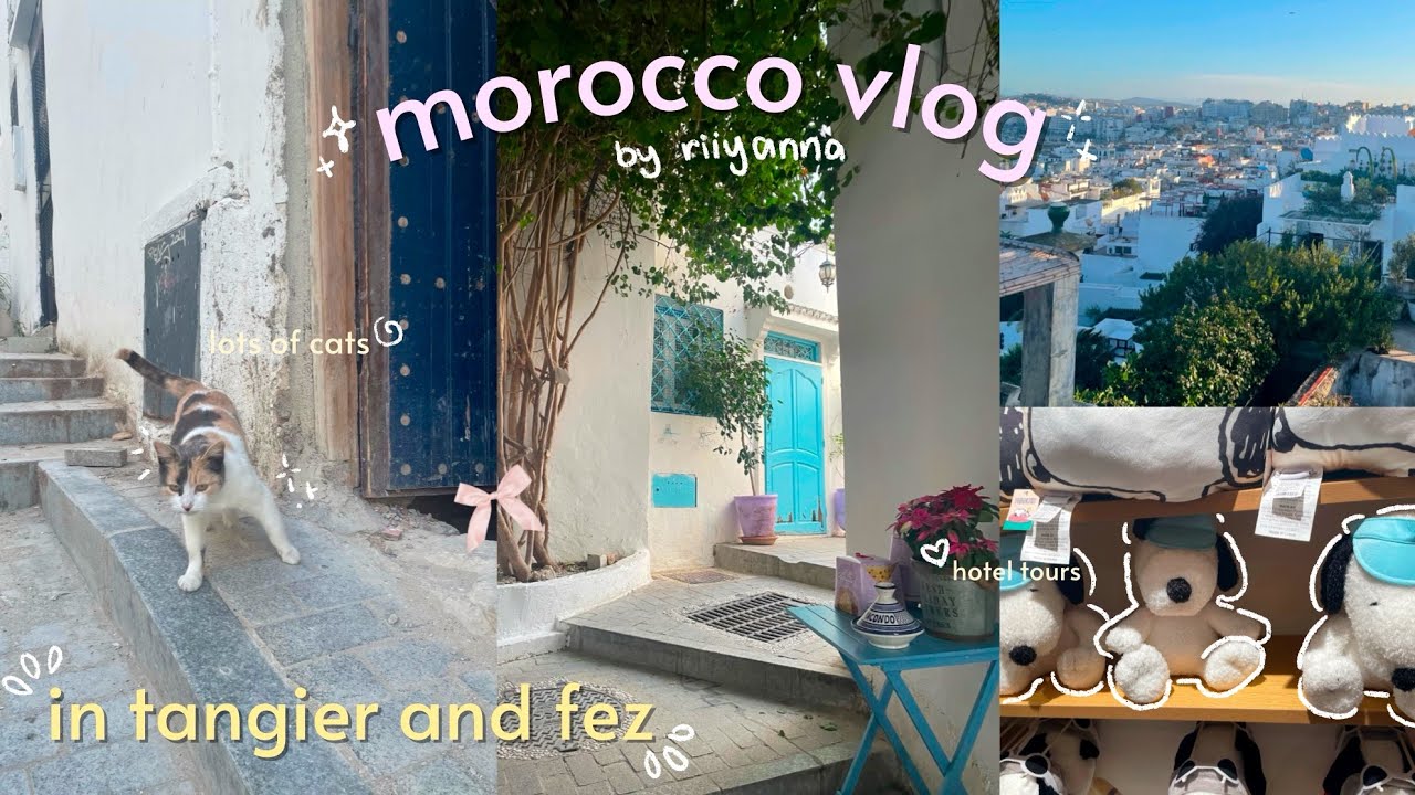 MOROCCO VLOG ✈️loads of cats, food, chourara tannery, hotel tours, in tangier and fez ୨୧˚∙