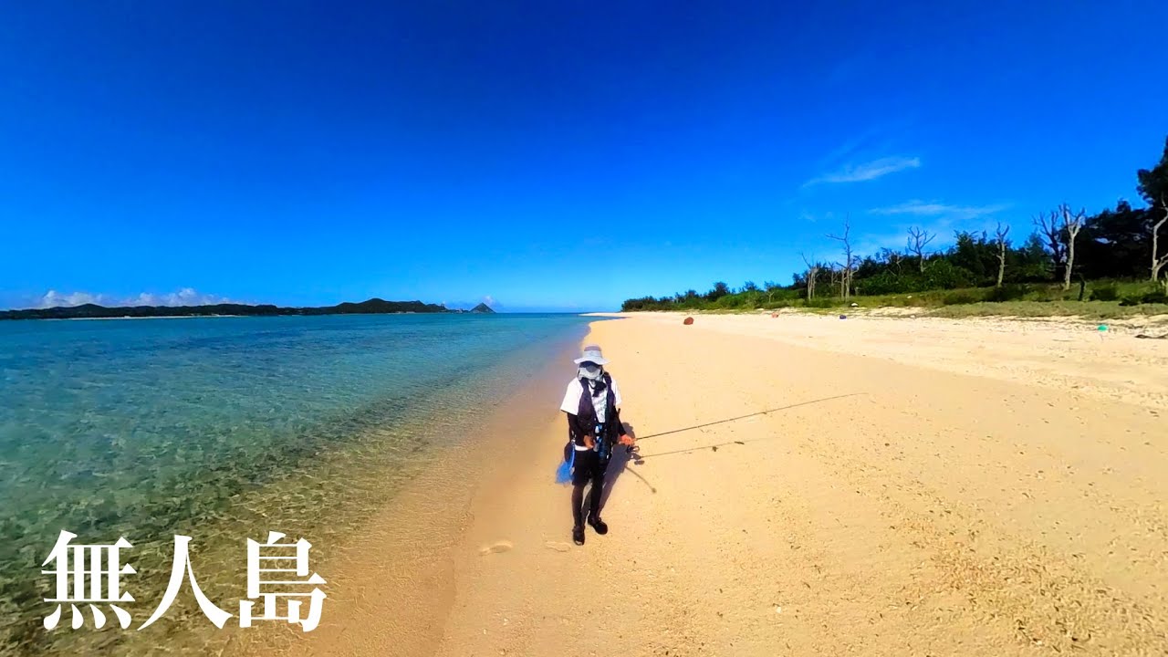無人島の砂浜で大物釣れた