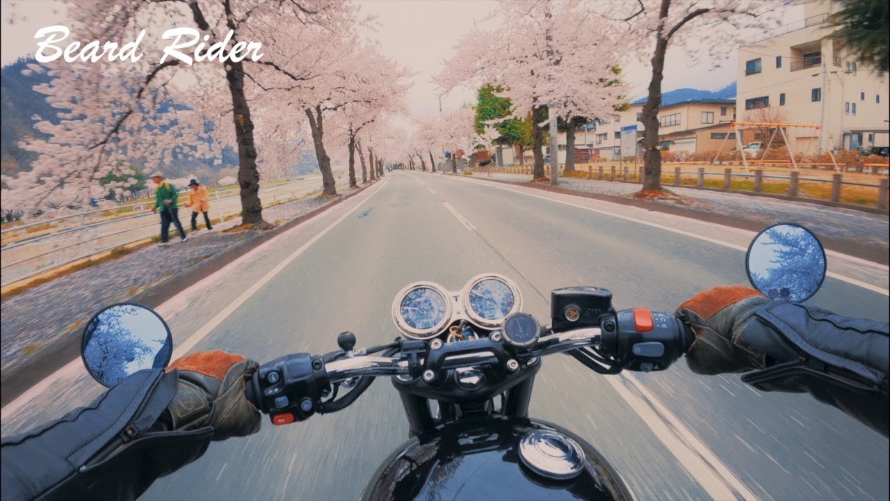 [047] Bonneville T120 Several Kind of Sakura Ride | Pure Exhaust Sound [2025 Spring]