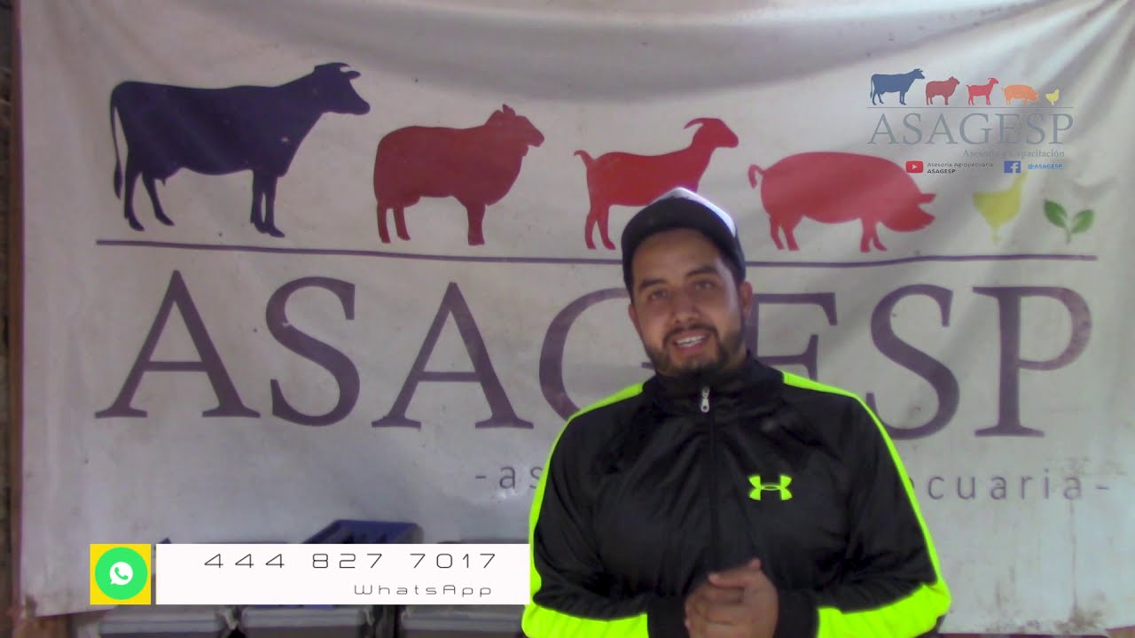 ASAGESP 24.- Afilado de Cuchillas y Método de Esquila