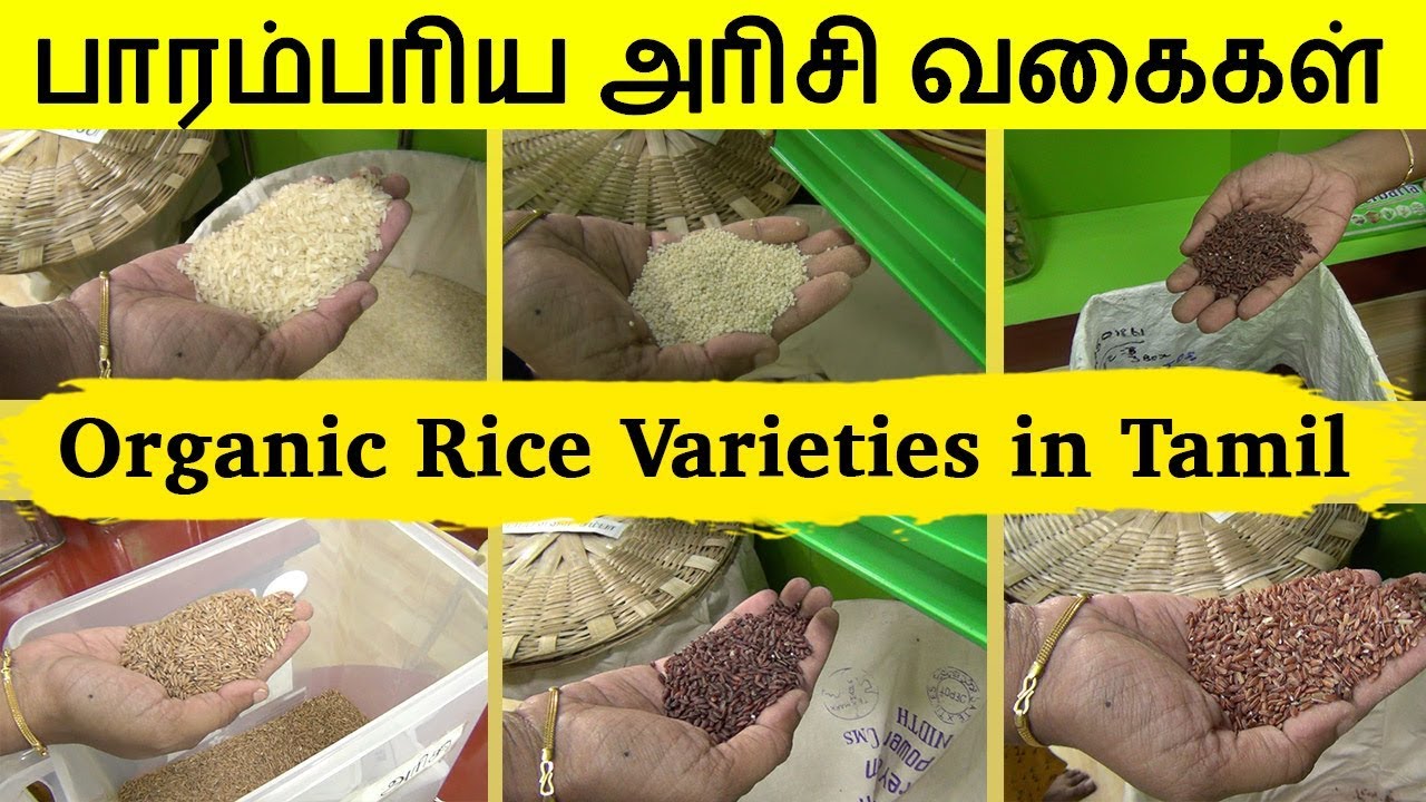 Varieties of Traditional Rice Explained in Tamil by Dhanalakshmi | Bread & Honey Organic Store