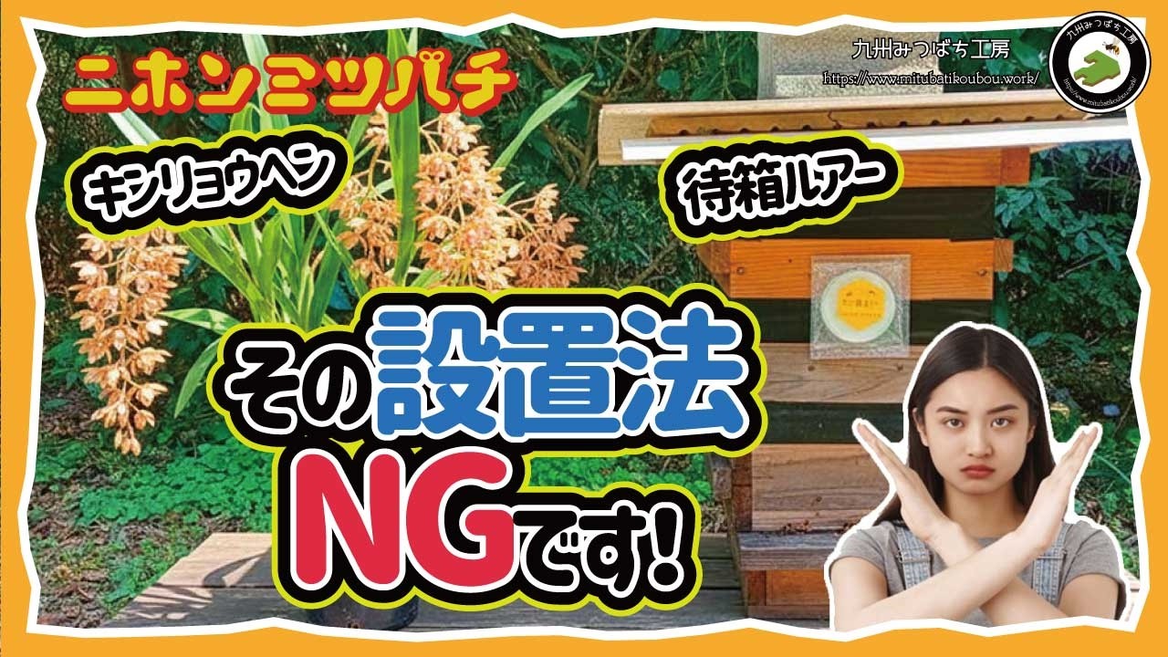 キンリョウヘンとルアー併用は逆効果！入居率が激変する正しい設置法とは