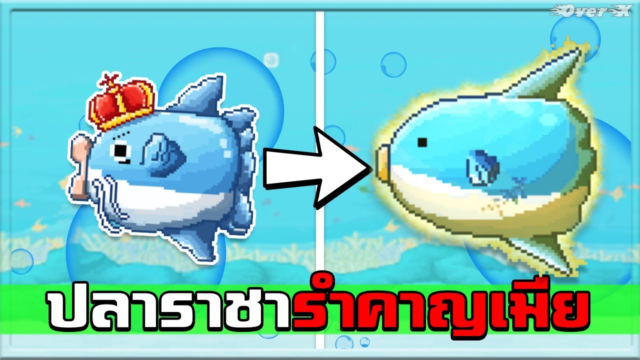 Battle cats - ที่นี่ไม่มีแมว มีแต่ปลาสุดไร้ประโยชน์ | Ep.202