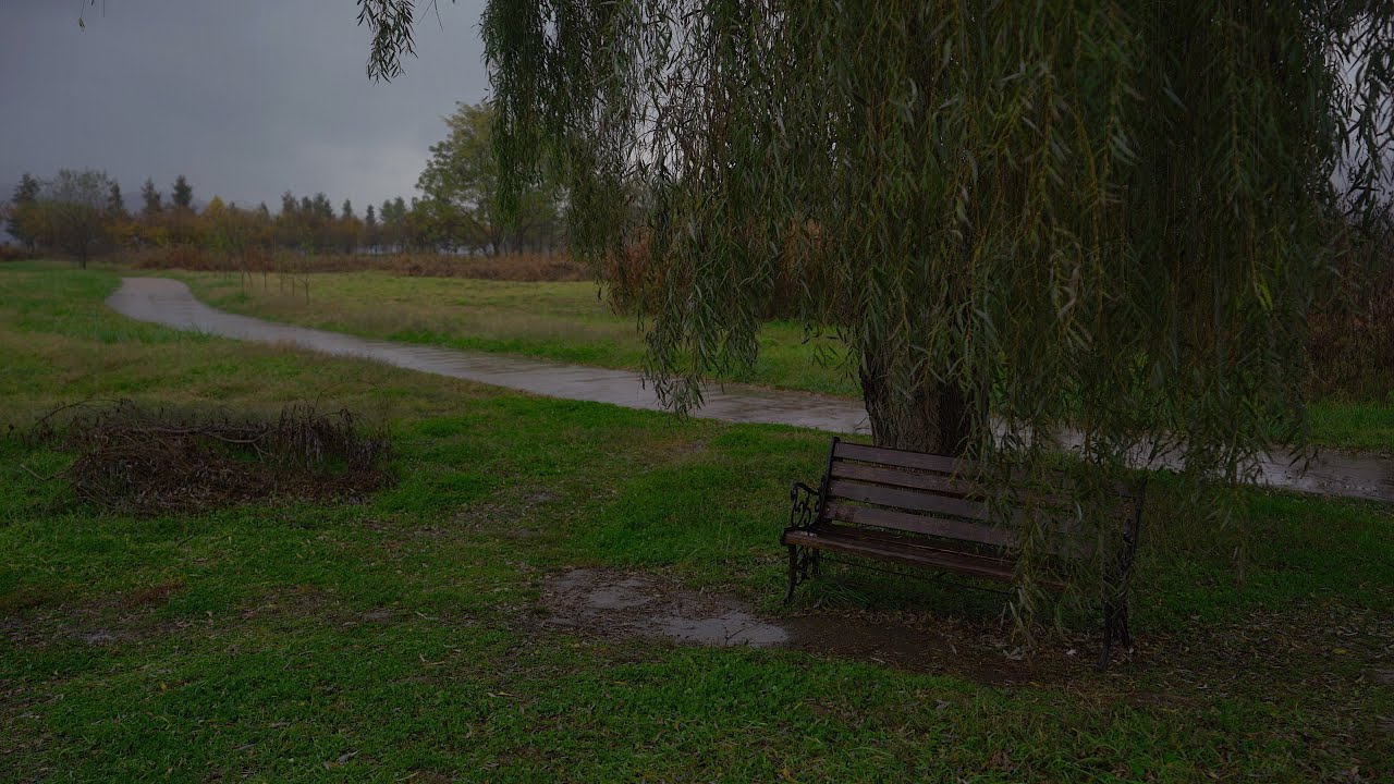 Rain Sounds for Sleeping 30 Minutes Rain