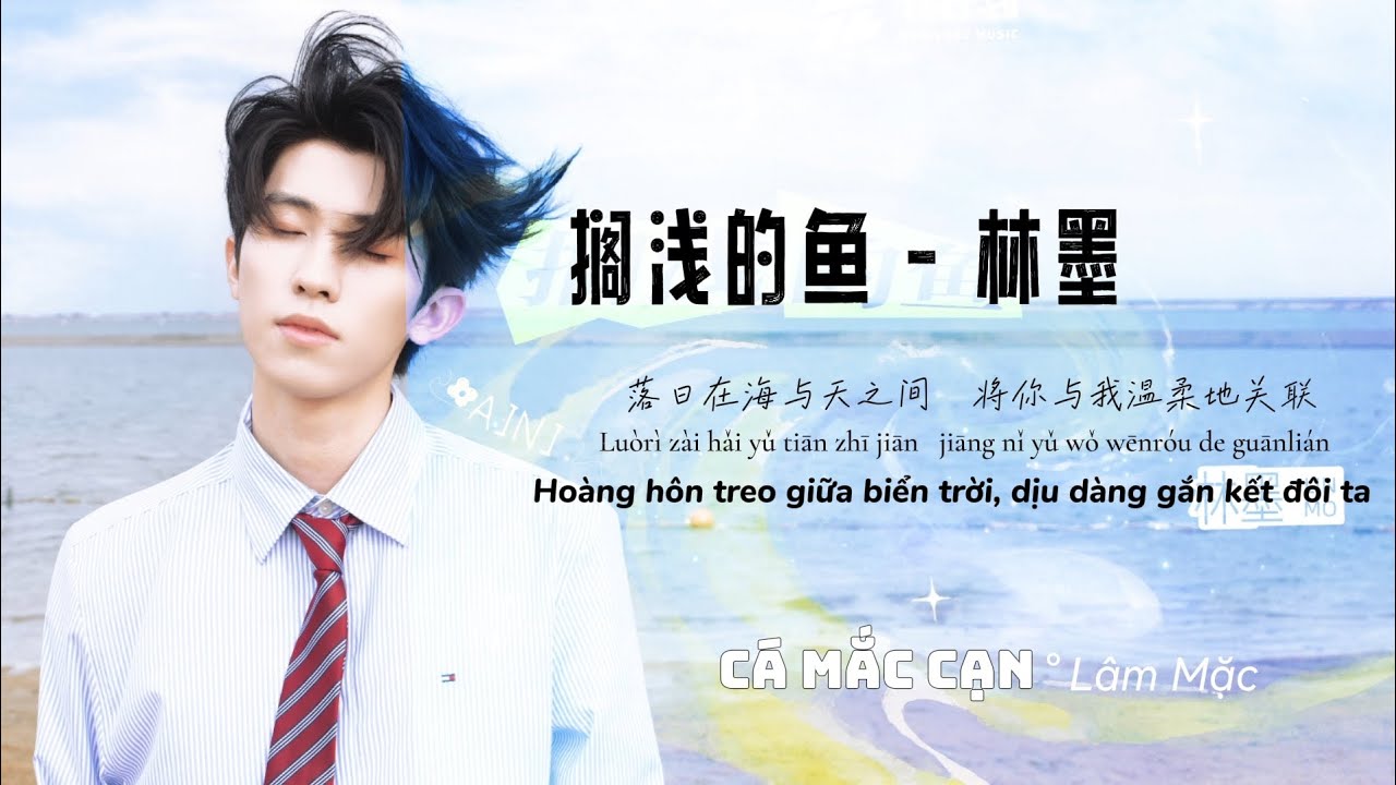 《Vietsub》Cá mắc cạn - Lâm Mặc - Linmo - 林墨 《搁浅的鱼》