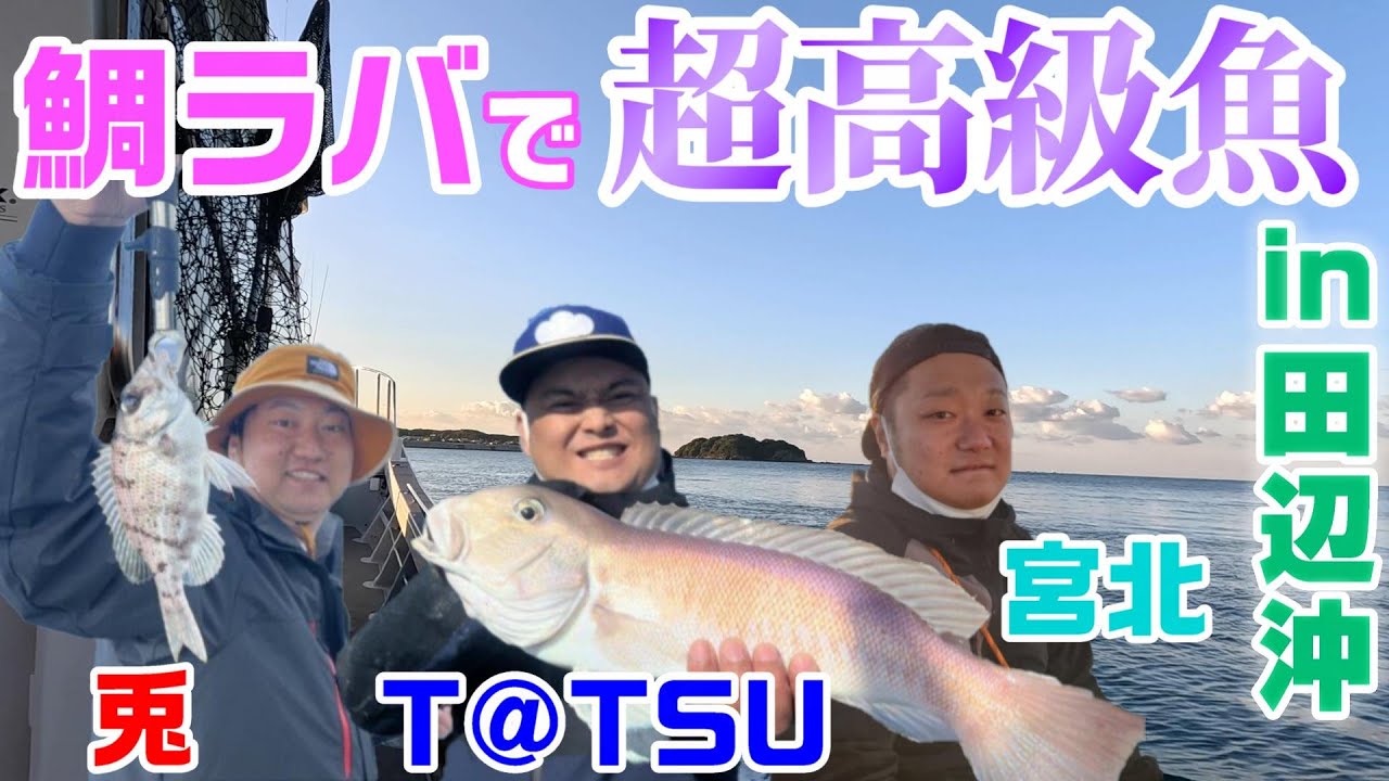【スーパー高級魚！？】鯛ラバで爆釣！！inブルーピア【和歌山田辺】