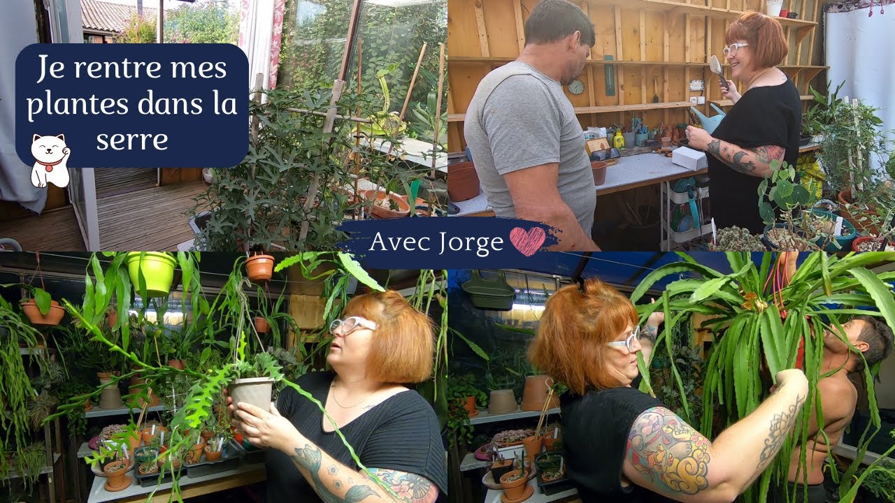JE RENTRE MES PLANTES DANS LA SERRE avec JORGE 🌵 Grosses rigolades et du travail en perspective 🤣🤣🤣