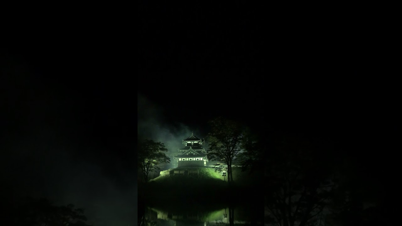 HANABI  高田城址公園花火　佐藤ひらり『みらい』