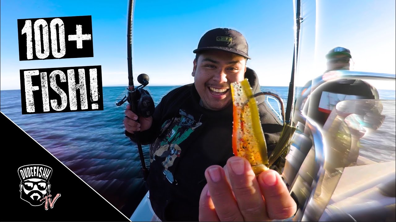 Hunting GIANT Calico Bass & Yellowtail | San Clemente Island Fishing (NON STOP ACTION)