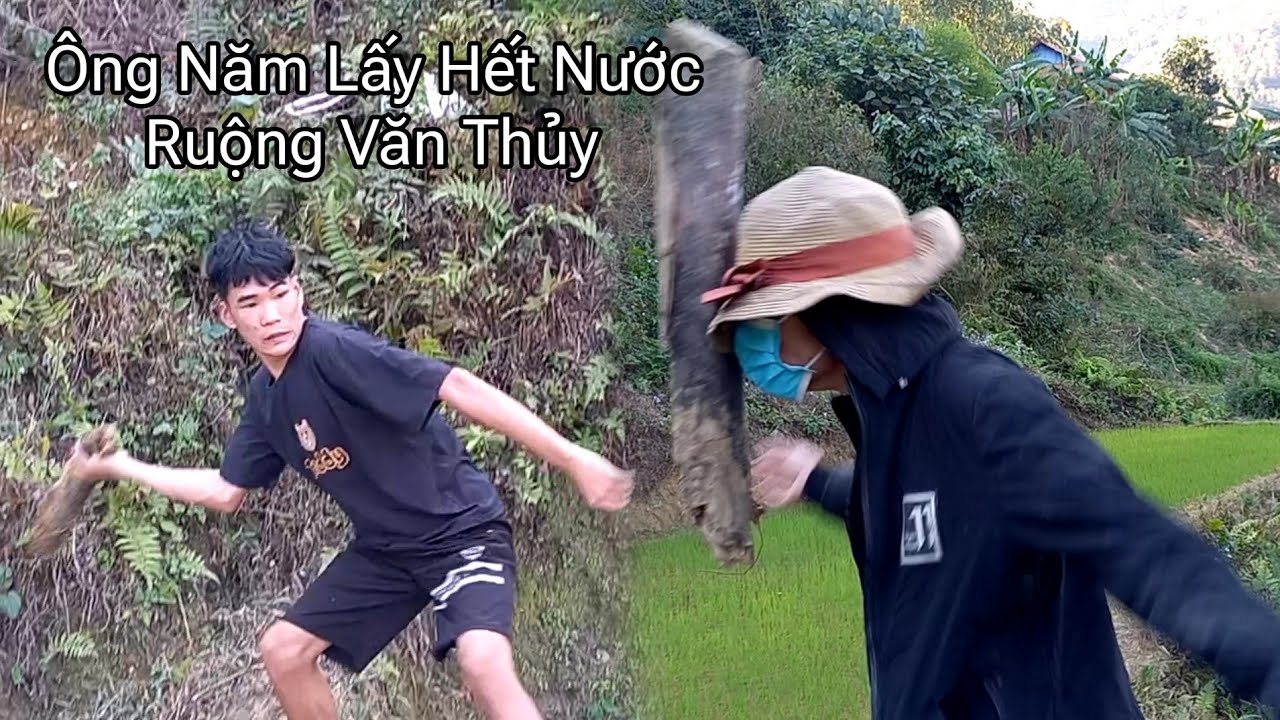 Ông Năm Lấy Hết Nước Ruộng Văn Thủy Khi Cọp Kè Đi Học Và Cái Kết