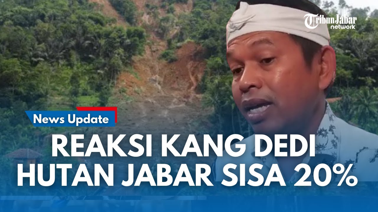 APRESIASI KANG DEDI MULYADI Bayar Warga 50 Ribu Perhari Tanam Pohon Dampak Hutan Jabar Sisa 20 %