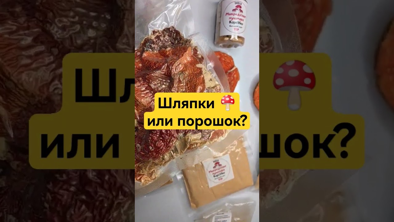 Шляпки 🍄 или порошок? #микродозинг #мухомор #микродозингмухомора