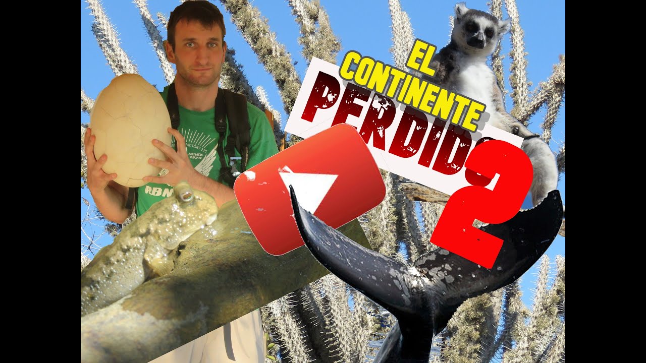 ÉPICO VIAJE A MADAGASCAR!! (Parte 2)