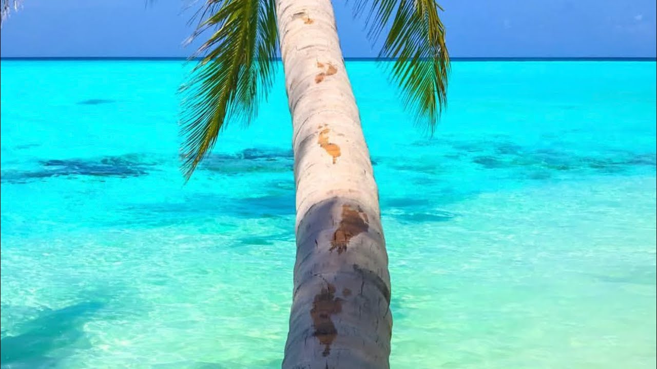Maafushi to Fulidhoo Island 🏝 | North Atoll  | Maldives 🇲🇻