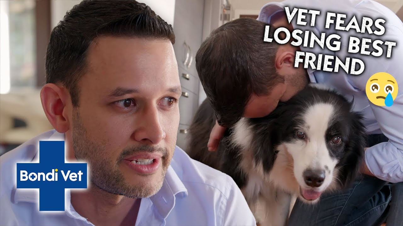 Gerardo Fears Losing SECOND DOG in Just 2 Months 😥 | Bondi Vet
