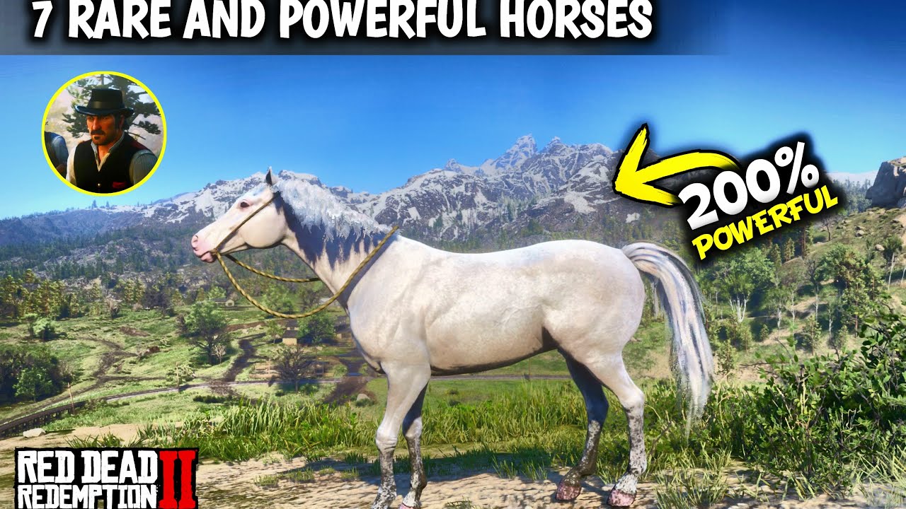 7 Rare and Powerful Horses Get them as Arthur Early | Red dead redemption 2 |
