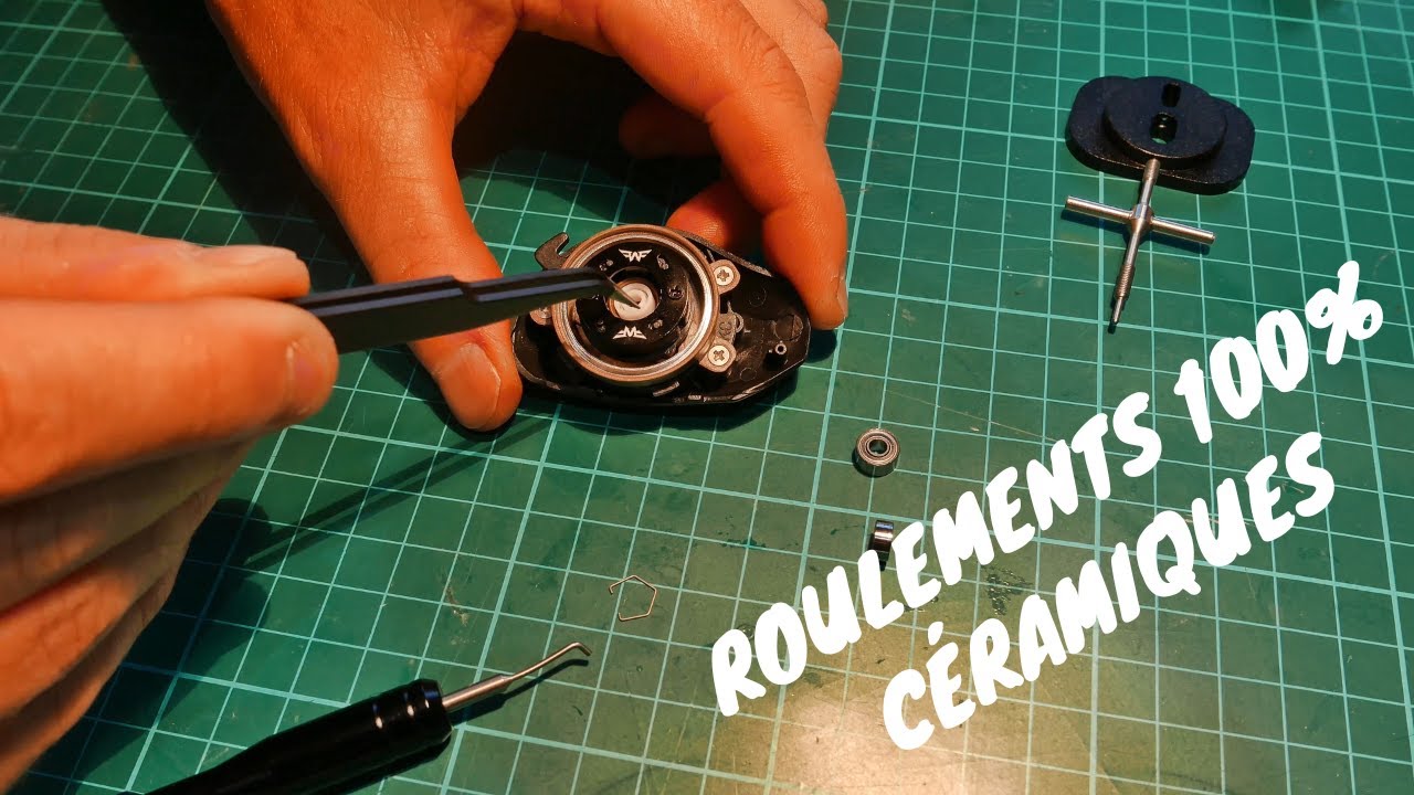 Remplacement roulements et upgrade moulinet casting BFS!