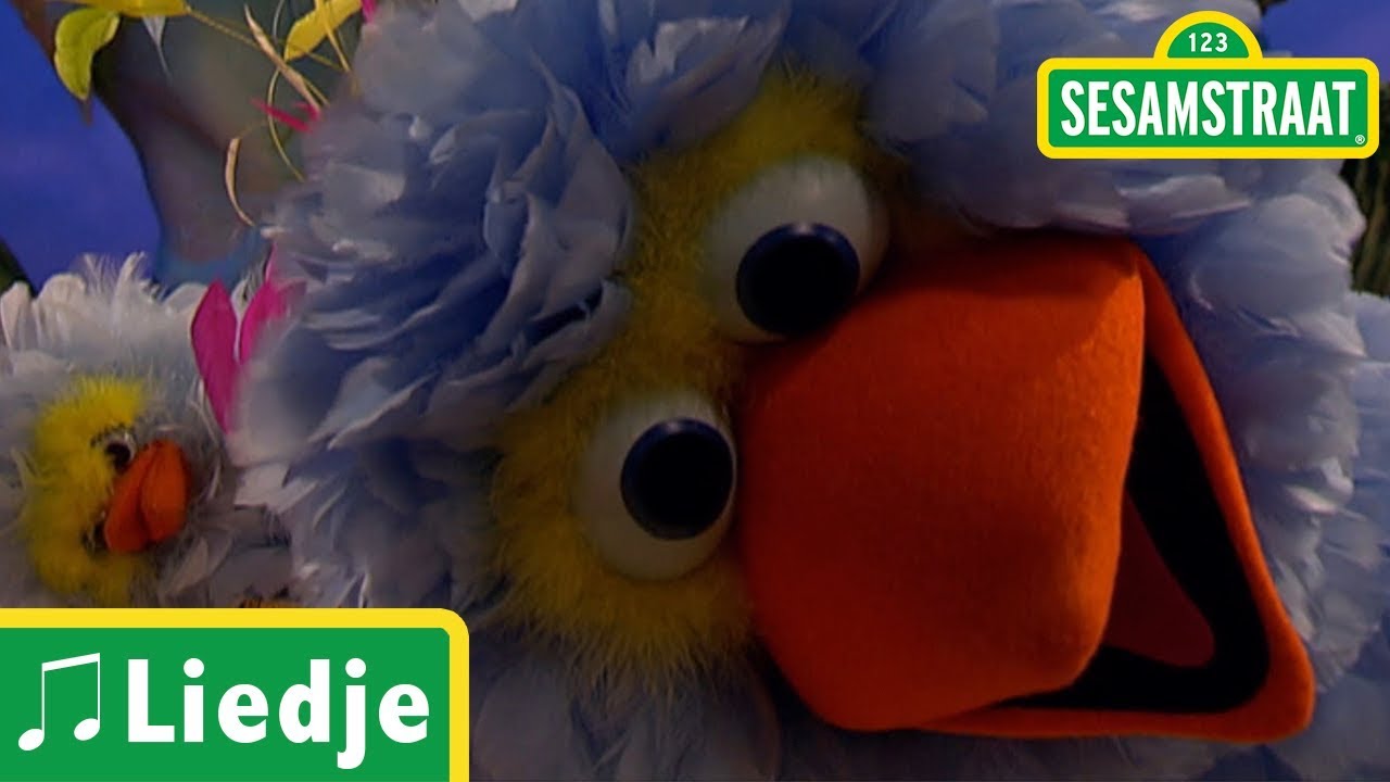 O als ik toch eens lezen kon - Pino - Liedje Sesamstraat