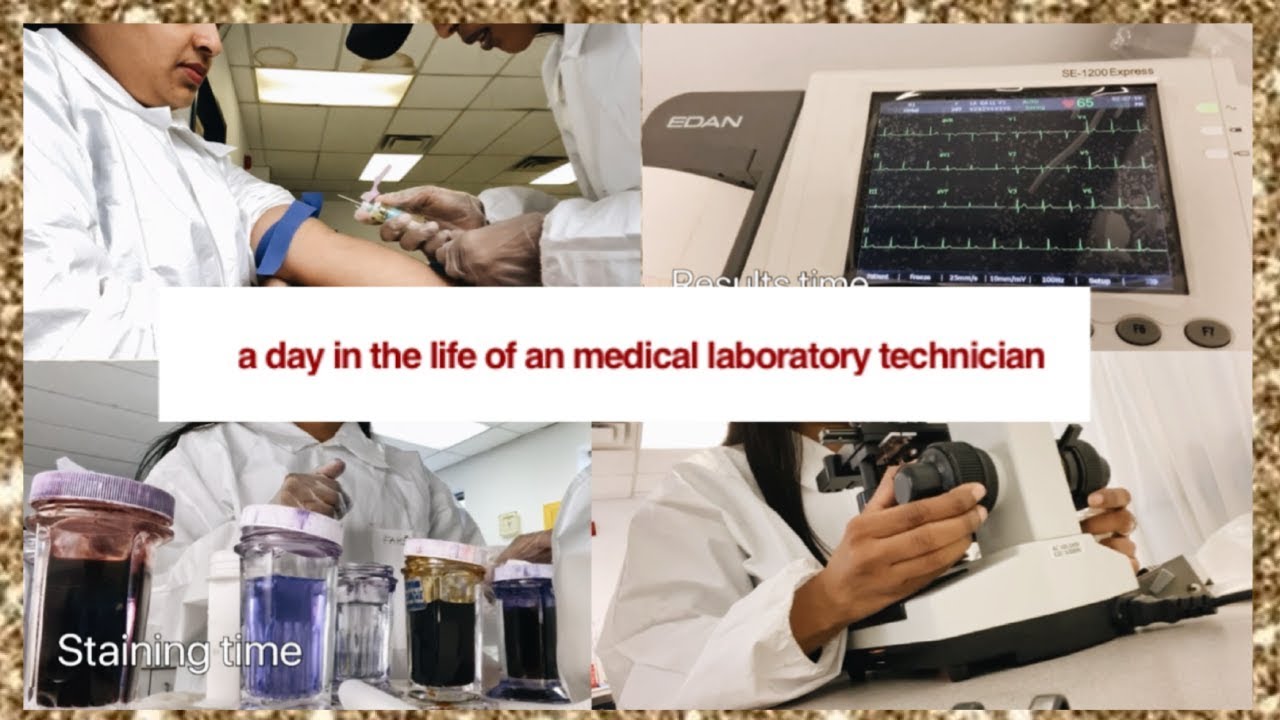 A day in the life of a Medical laboratory technician