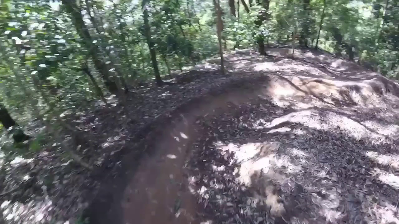 Kuranda DH