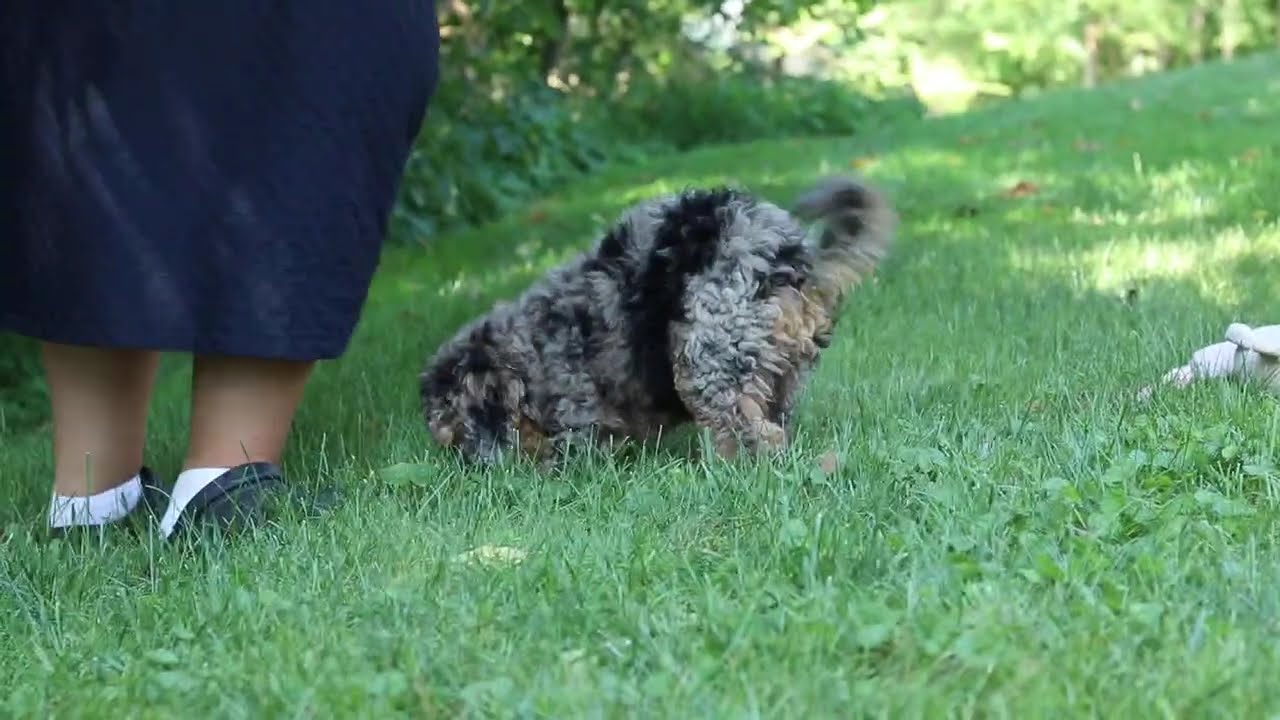 Angela