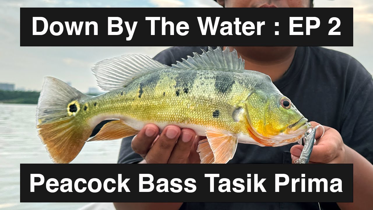 Down By The Water Ep : 2 - PB Tasik Prima