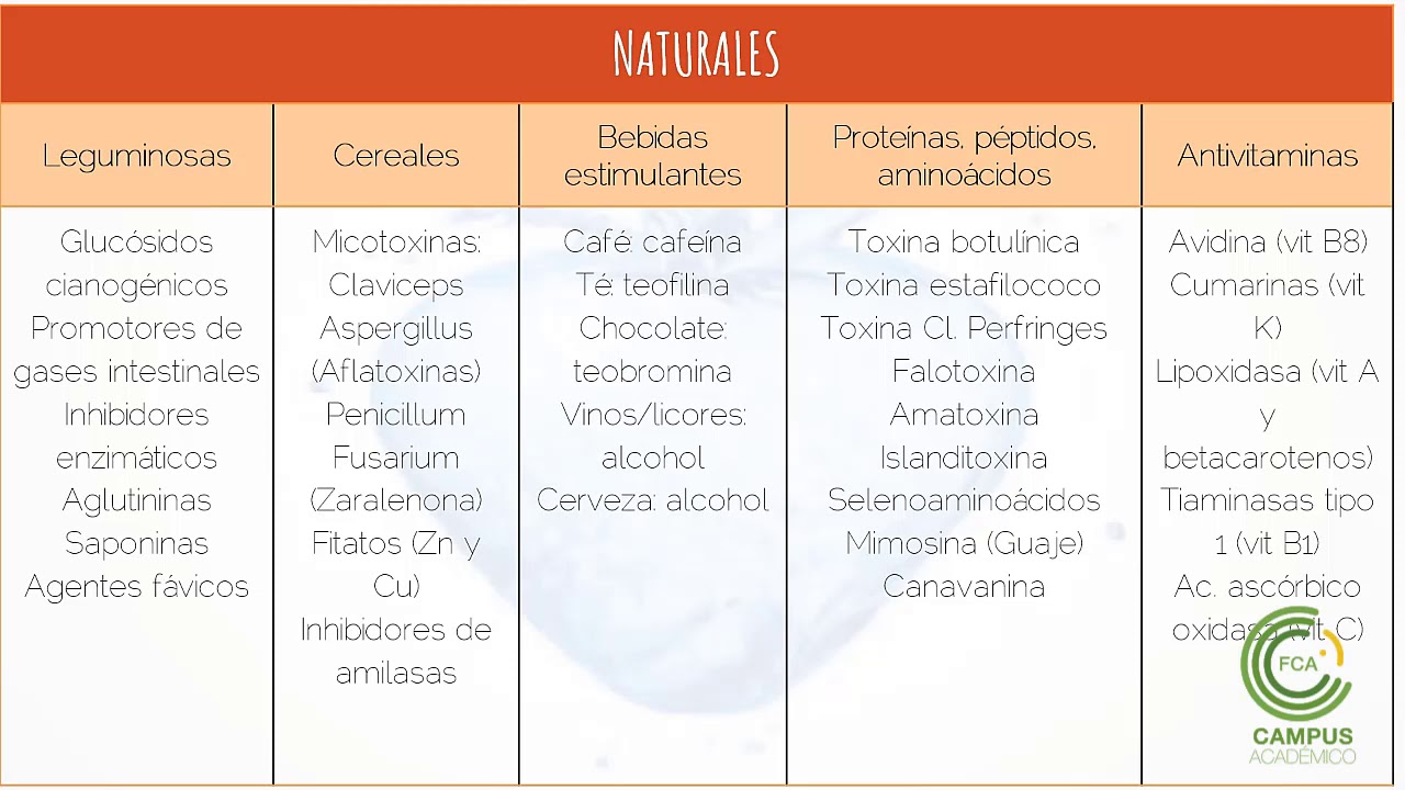 Toxicología Alimentaria (Parte 1)