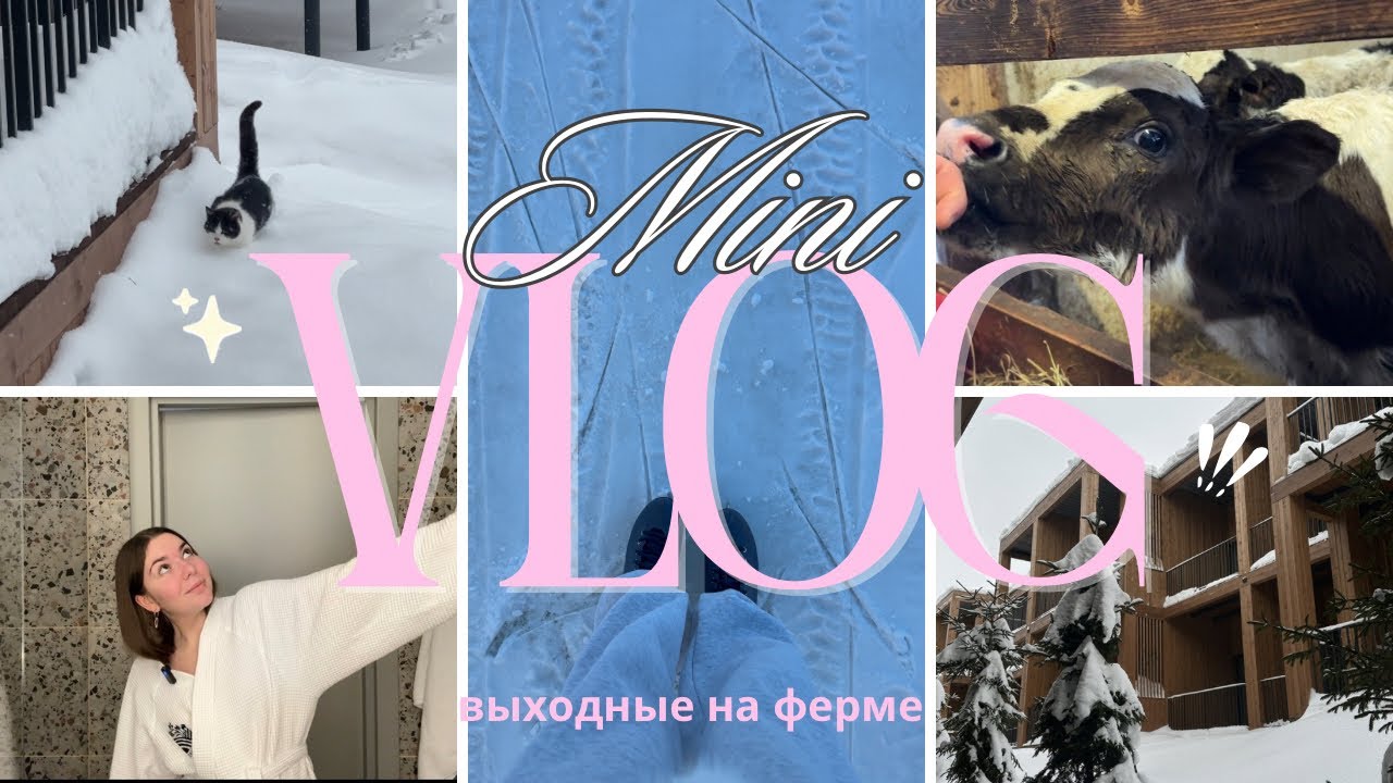 Mini VLOG | Выходные на ферме 