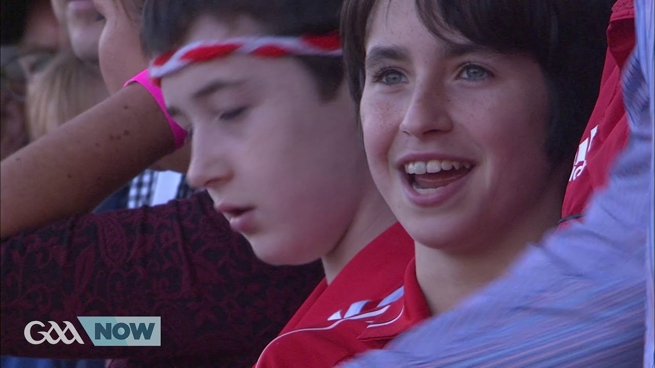 2013 All-Ireland Senior Hurling Final Replay: Clare v Cork