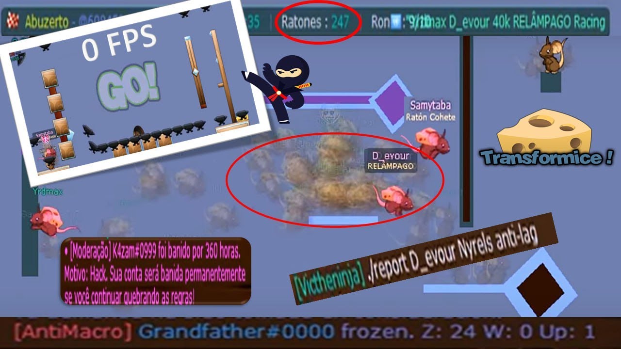 TRANSFORMICE 2025 *ban*
