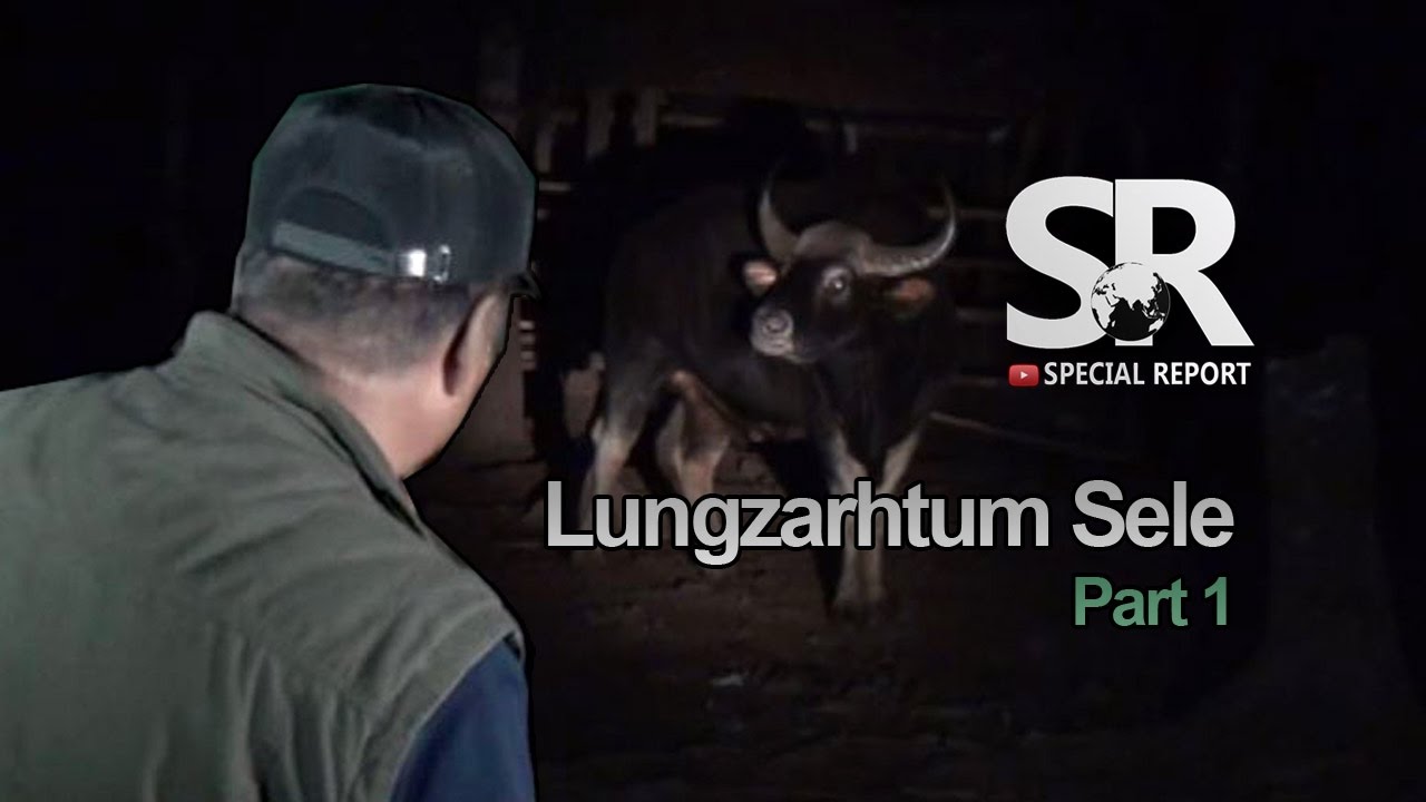 SR : Lungzarhtum Sele [Part 1/2] [31.3.2017]