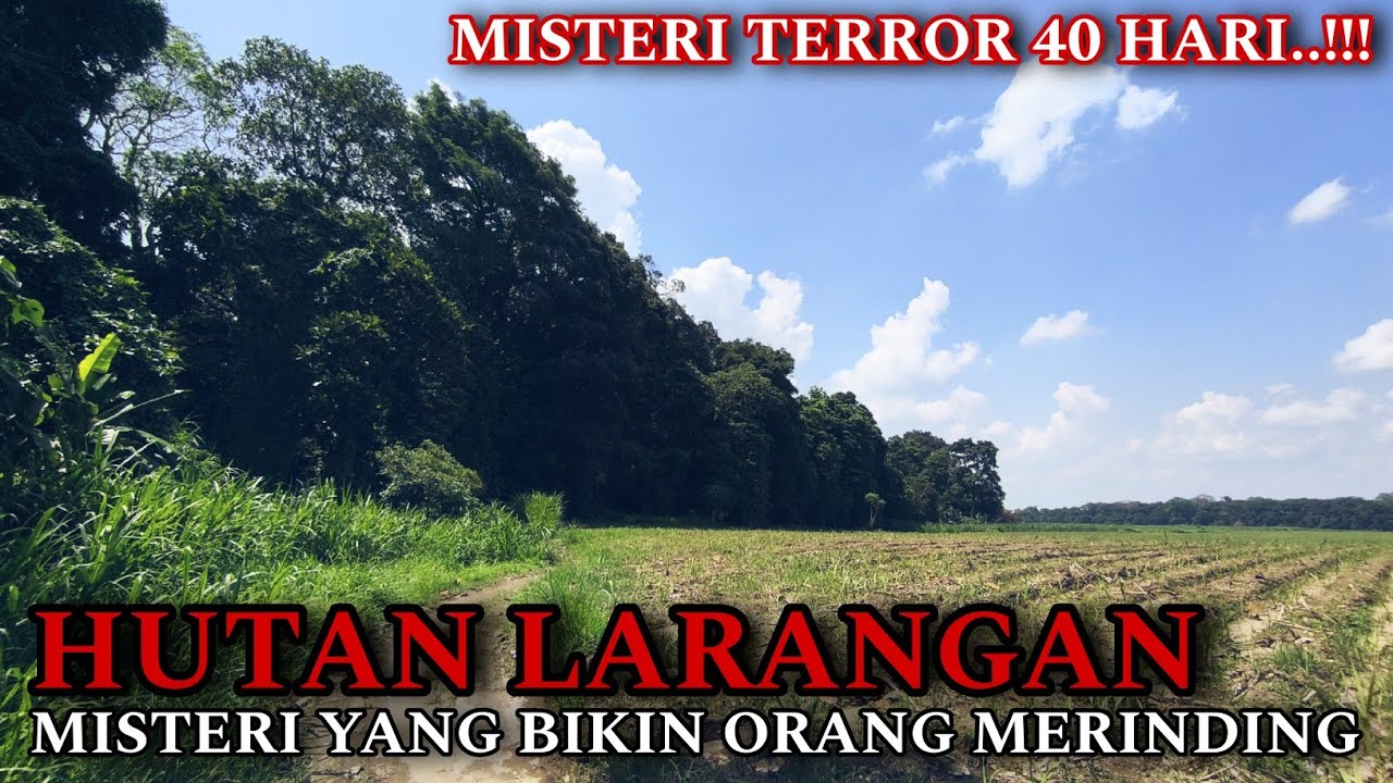 HUTAN LARANGAN KEDIRI ❗❗TERROR PEMUDA BUNDIR 40 HARI SATU KAMPUNG DI GANGGU