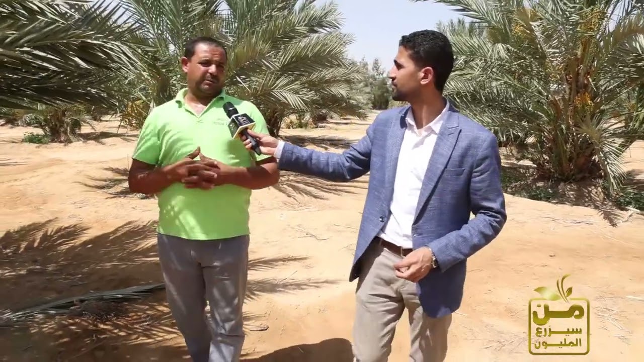 دي مزرعة نخيل مجدول عملاقة في الصحراء.. حاجه خيال
