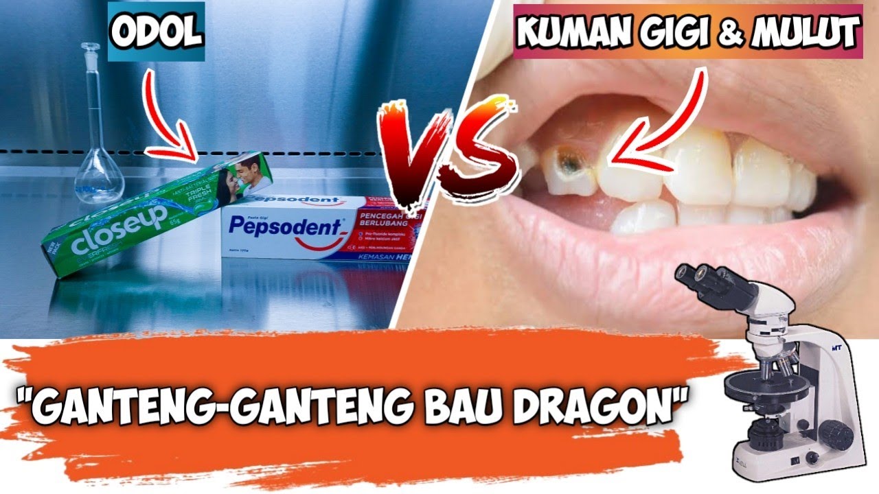 ODOL VS KUMAN GIGI & MULUT (TOOTHPASTE VS BACTERIA IN THE MOUTH and TEETH )